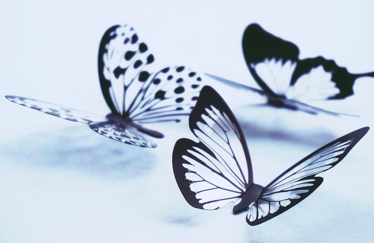 C'est comme un papillon