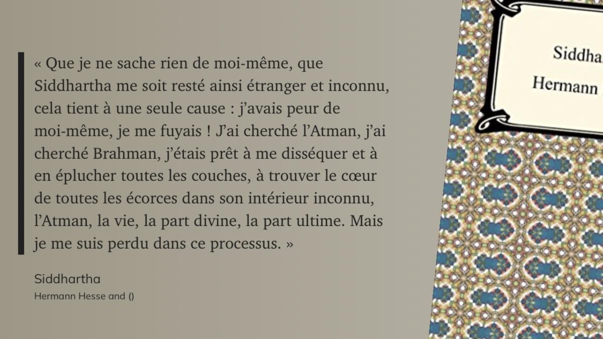 #CITAMAG.111