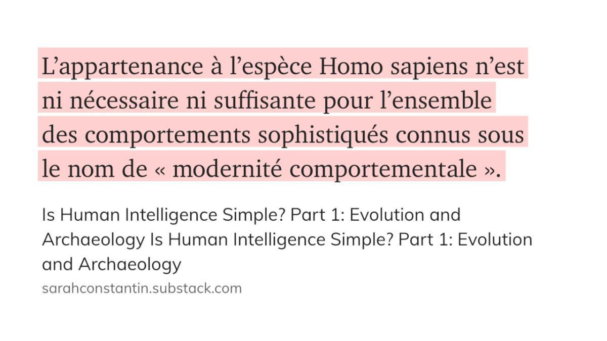 CitaMag #197