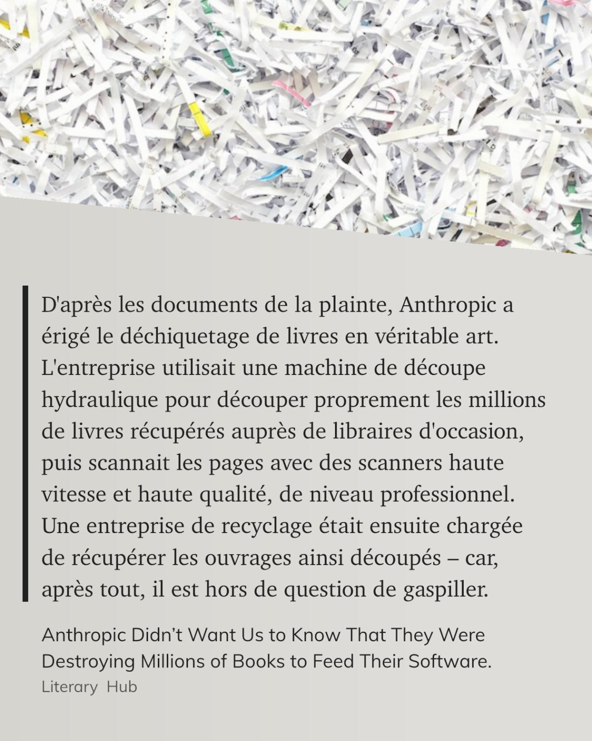 CitaMag #199