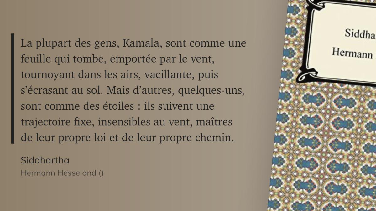 CitaMag #204