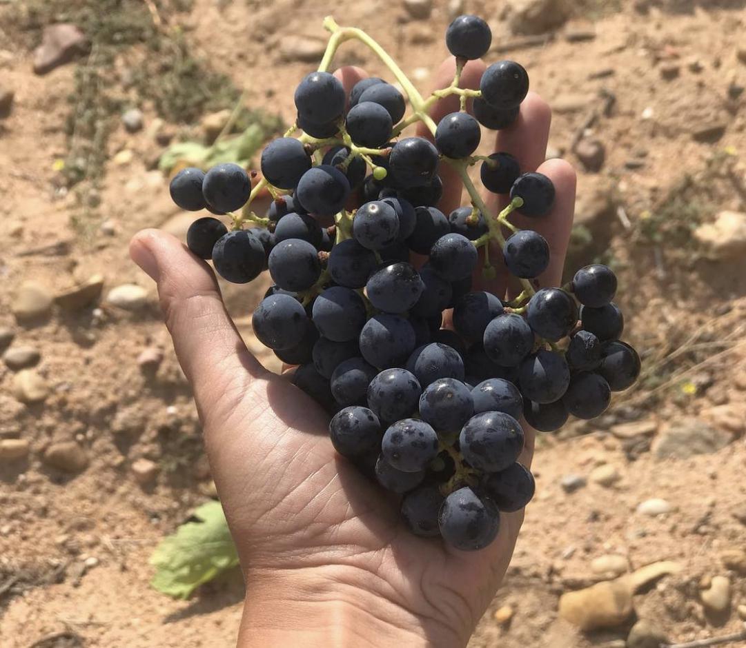 A la découverte du Dominio del Bendito A la découverte du Dominio del Bendito