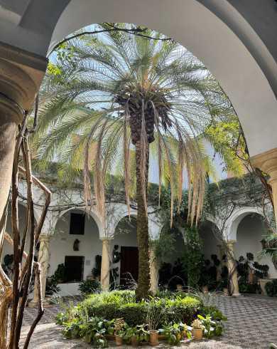 A la découverte du Palais de Viane de Cordoue A la découverte du Palais de Viane de Cordoue
