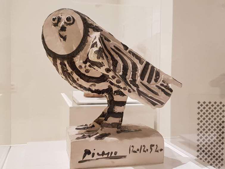 A la découverte du célébre Picasso A la découverte du célébre Picasso