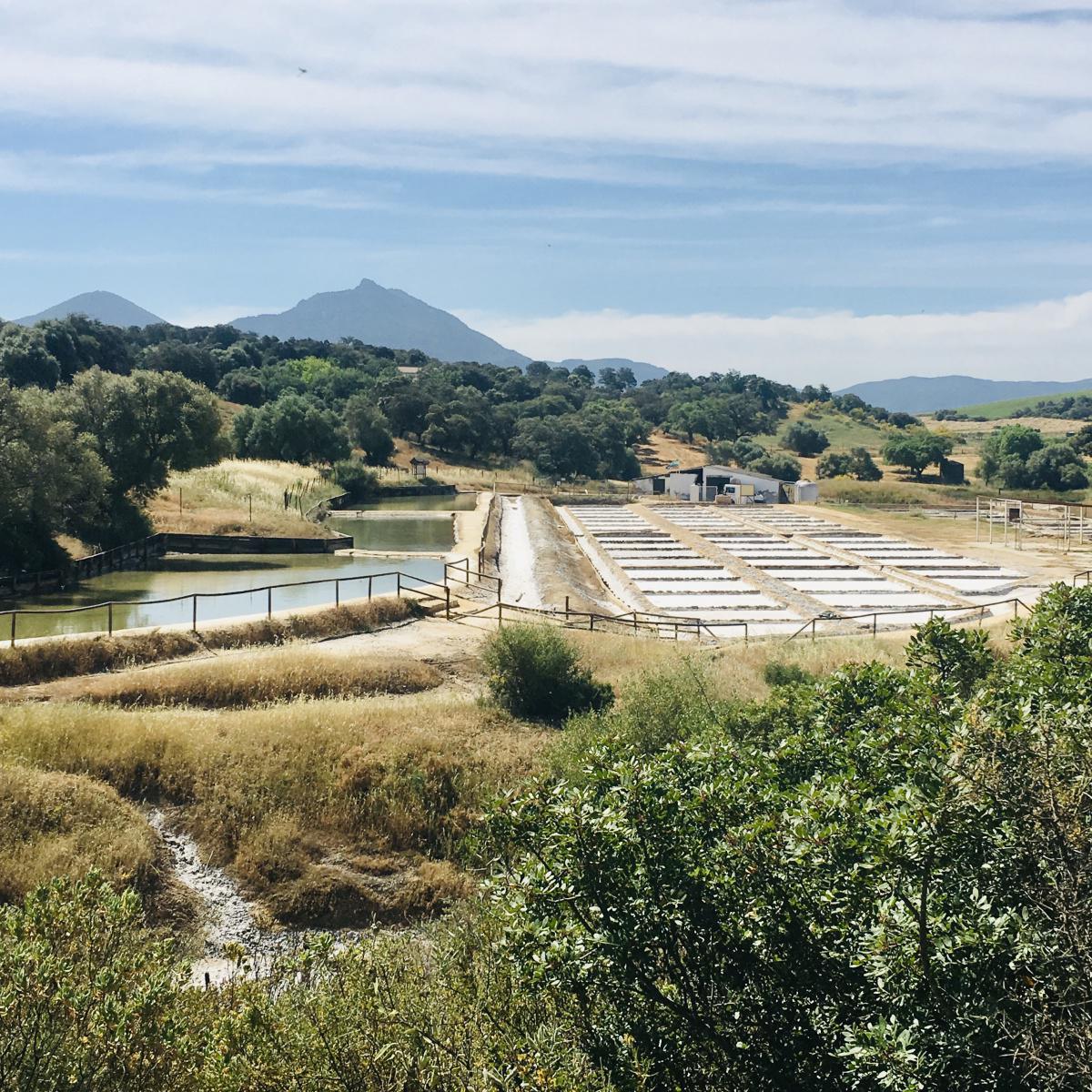 Villages blancs Villages blancs