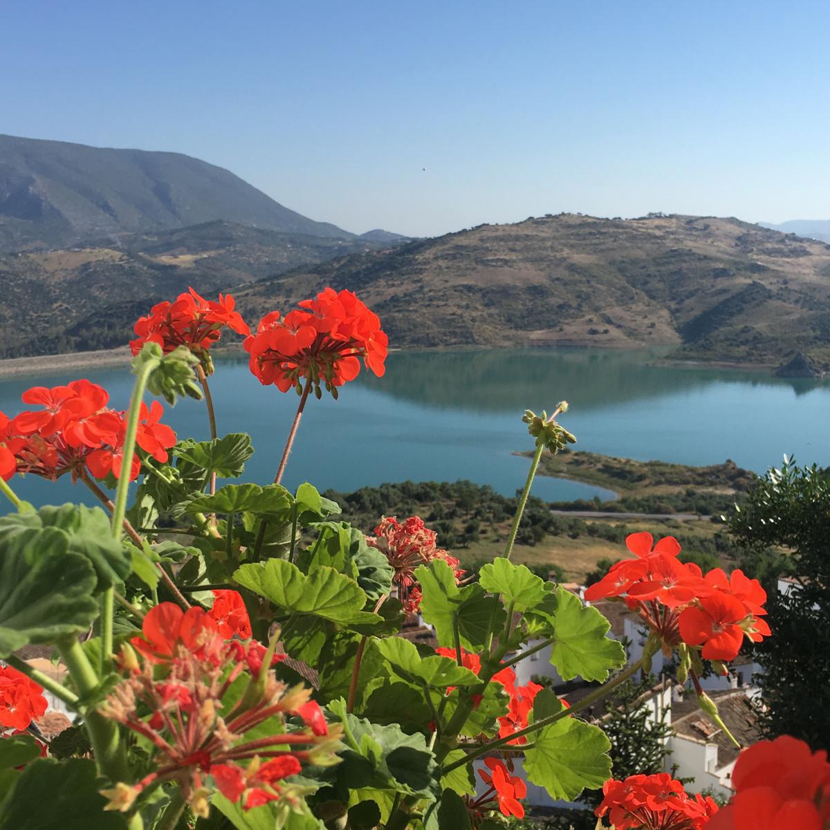 Villages blancs Villages blancs