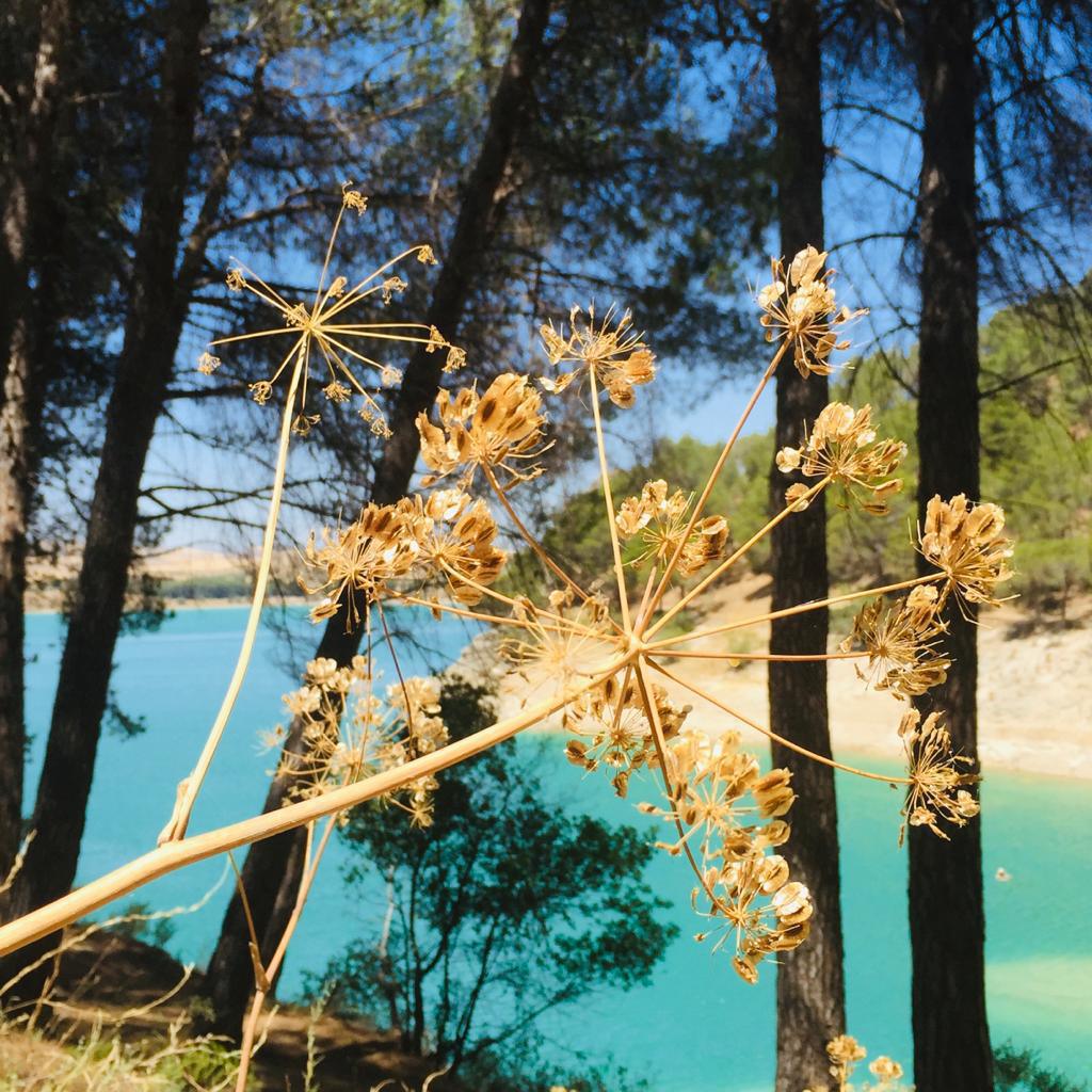 El Caminito del Rey El Caminito del Rey