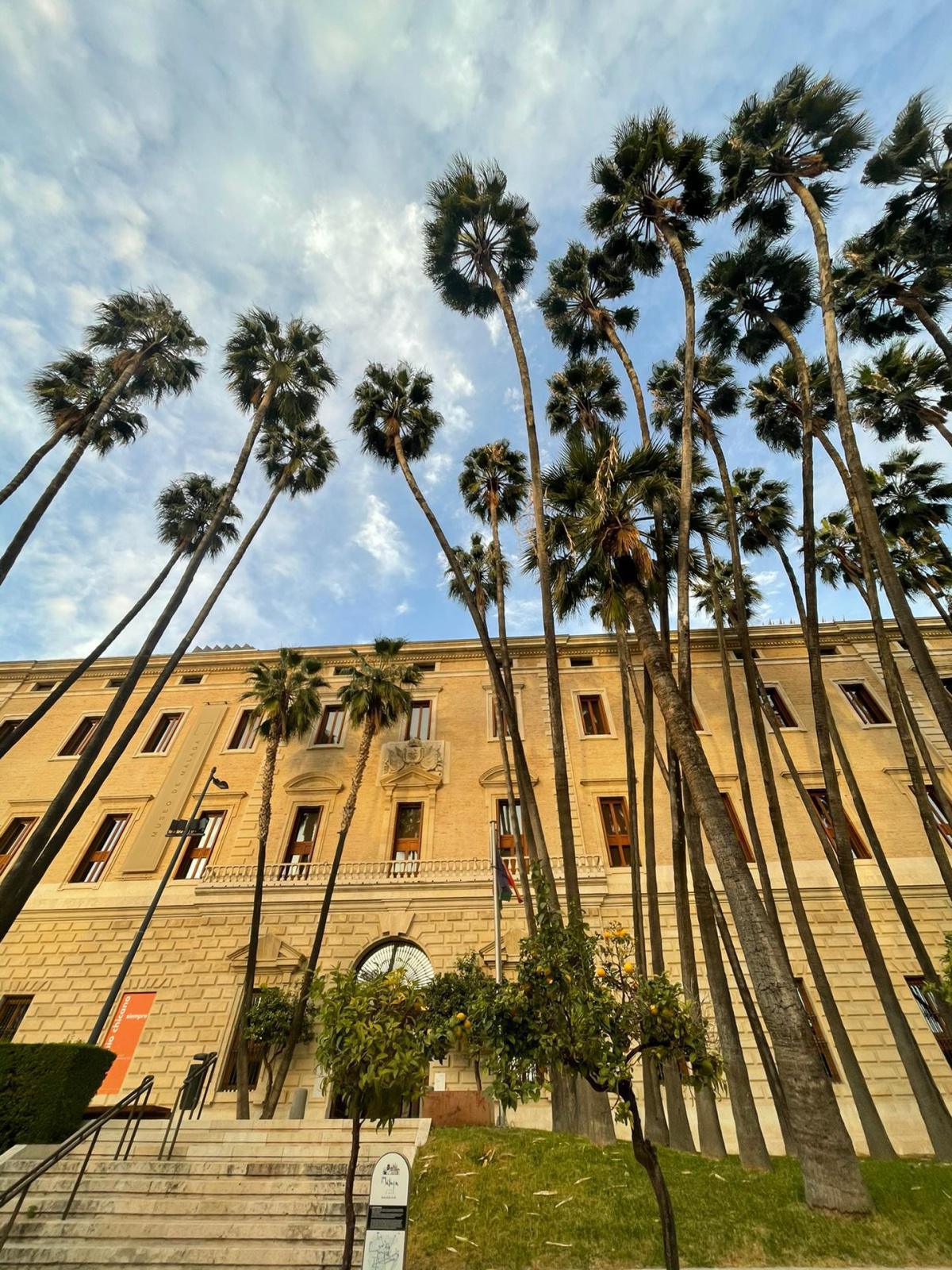 Le Palais des Douanes de Malaga Le Palais des Douanes de Malaga