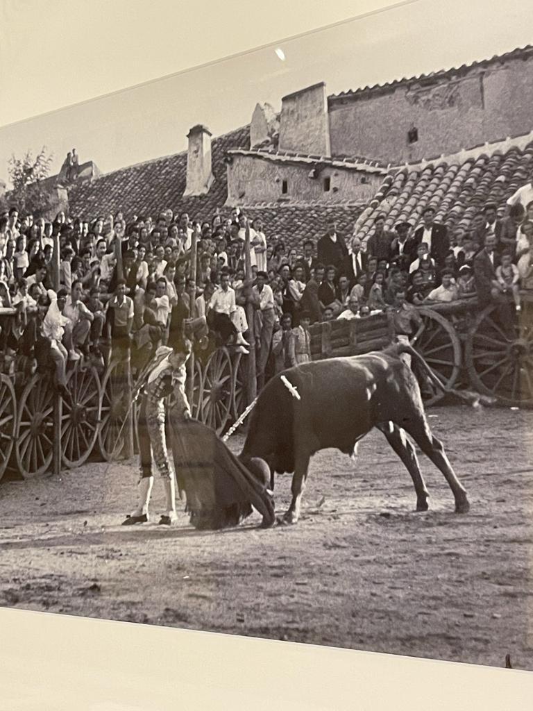 Des taureaux aux Archives des Indes de Séville