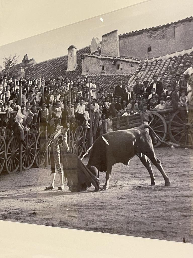 Des taureaux aux Archives des Indes de Séville Des taureaux aux Archives des Indes de Séville
