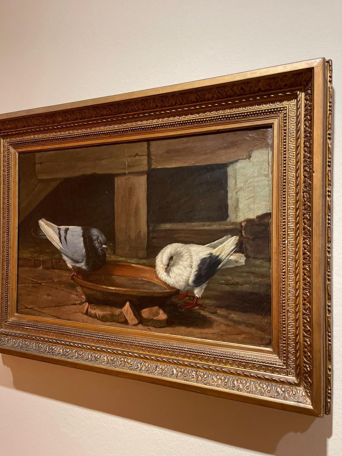 Maison natale de Picasso, suivez le guide! Maison natale de Picasso, suivez le guide!