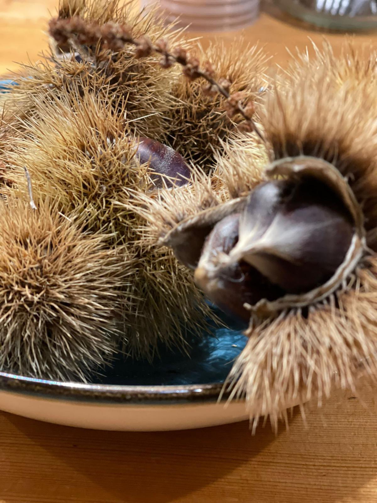 Les châtaignes de retour dans les rues des villes et villages andalous Les châtaignes de retour dans les rues des villes et villages andalous