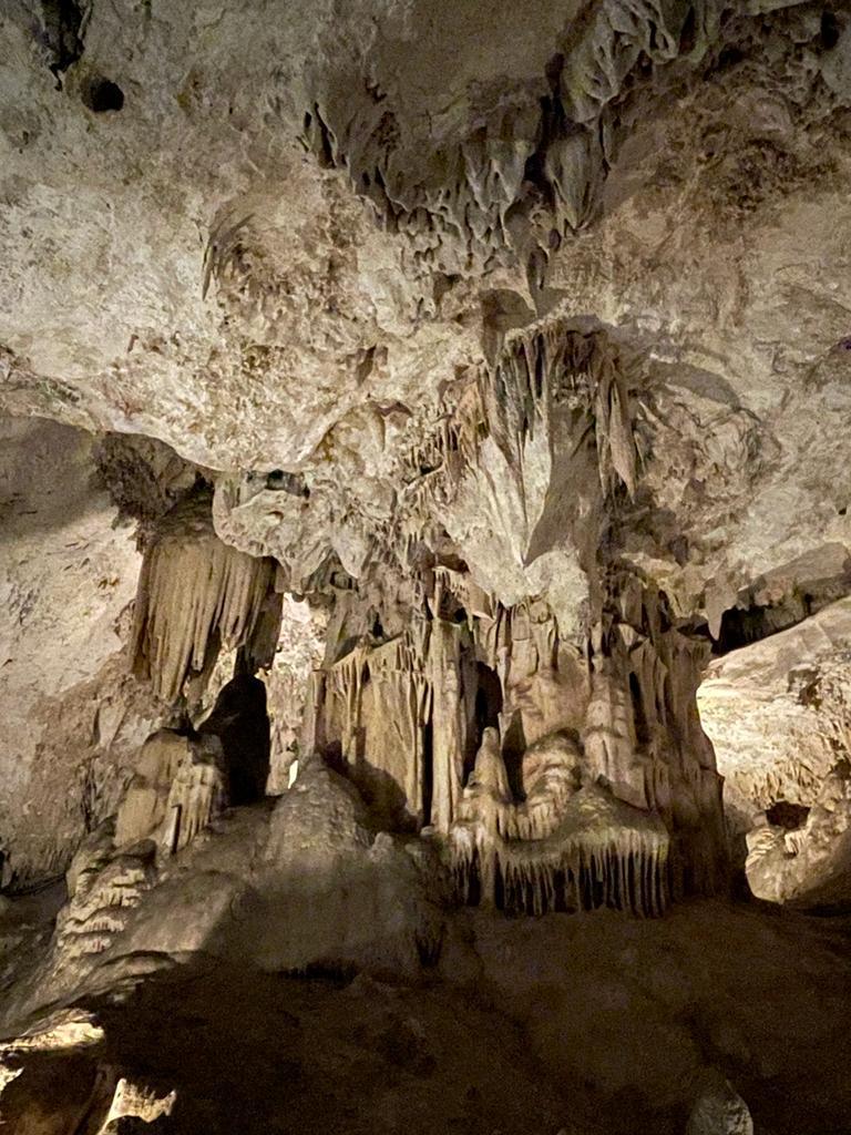 Beau bilan 2022 pour les grottes de Nerja 