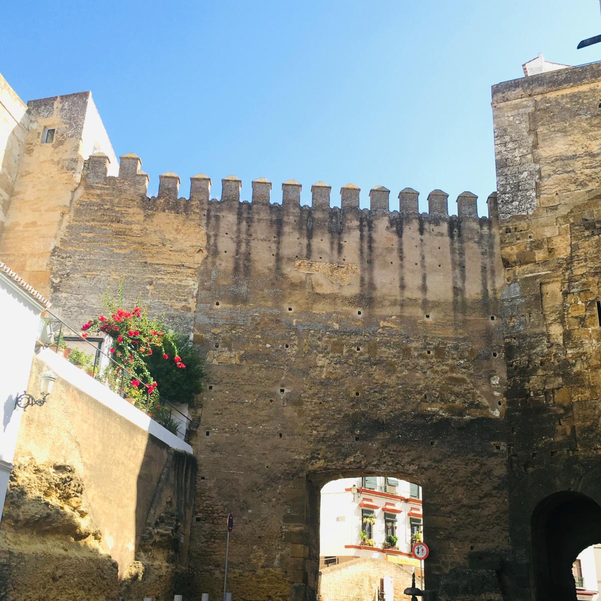 Une promenade sévillane en hauteurs