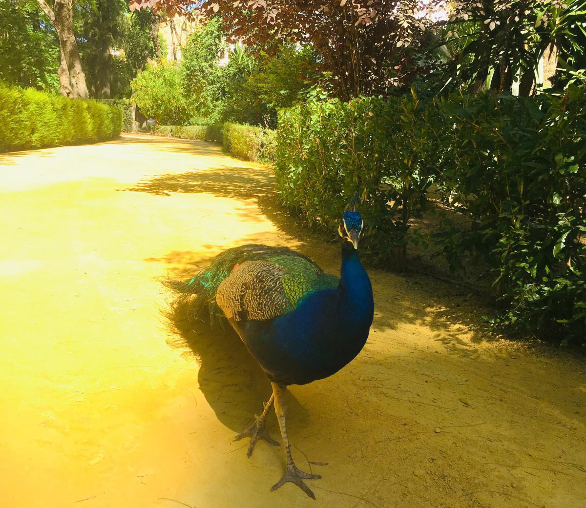 La cathédrale de Séville perd sa première place! La cathédrale de Séville perd sa première place!