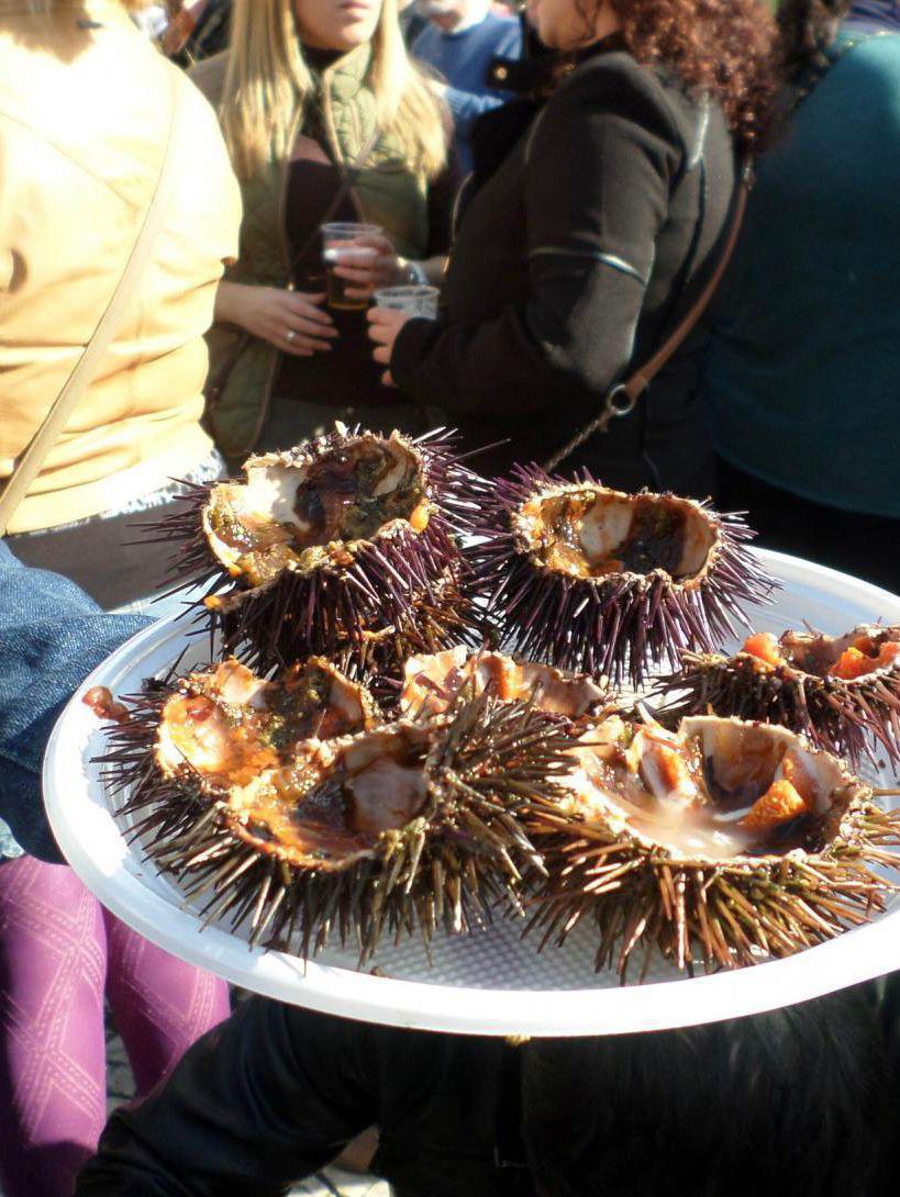 Cadiz et Malaga réchauffent l’hiver avec le carnaval ! Cadiz et Malaga réchauffent l’hiver avec le carnaval !