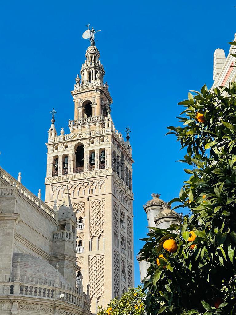 Les oranges de Séville pour un pas de plus pour notre planète Les oranges de Séville pour un pas de plus pour notre planète