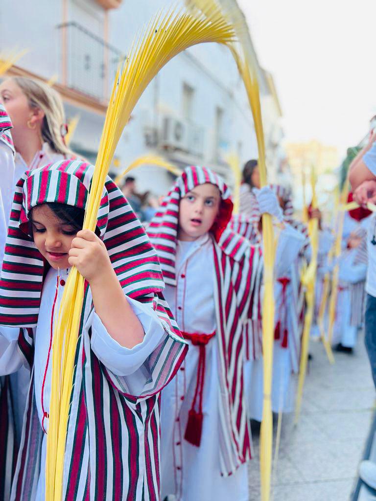 Le Casco Antiguo de Marbella et les rameaux Le Casco Antiguo de Marbella et les rameaux