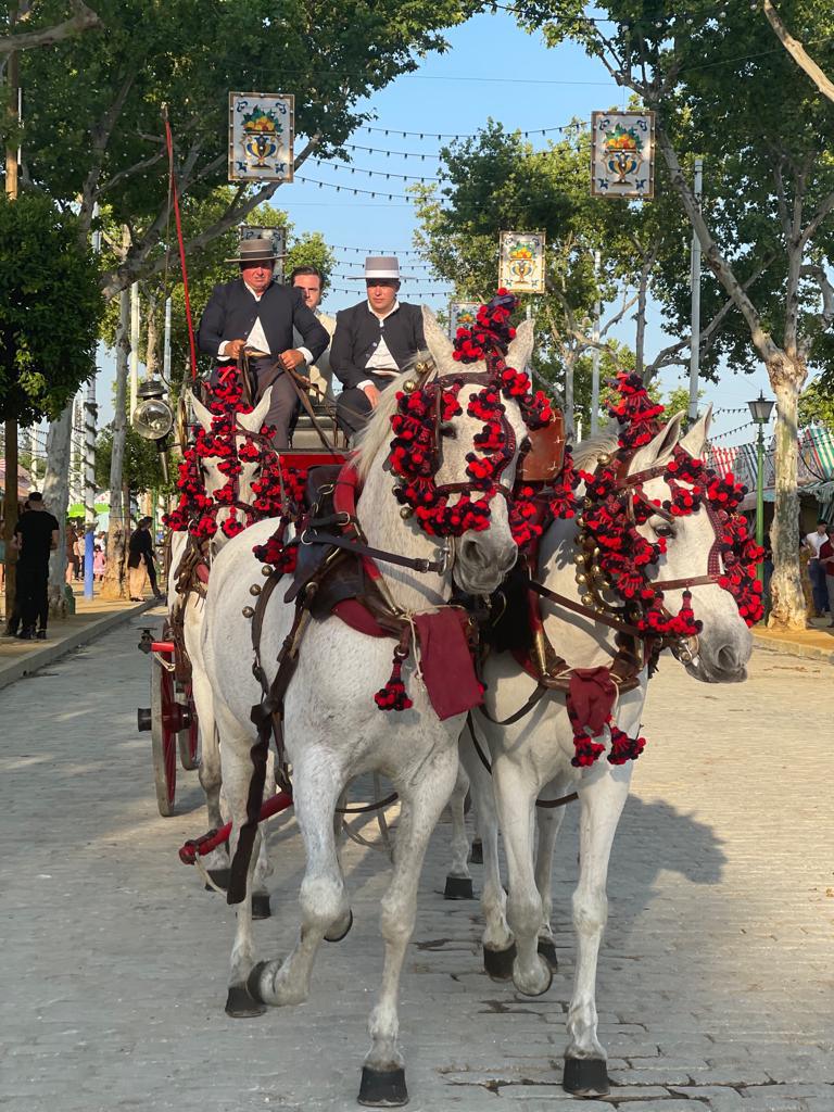 Le guide complet de la Feria de Séville Le guide complet de la Feria de Séville