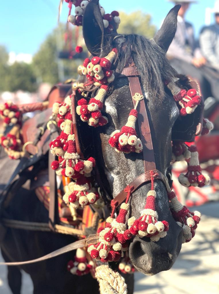 Le guide complet de la Feria de Séville Le guide complet de la Feria de Séville