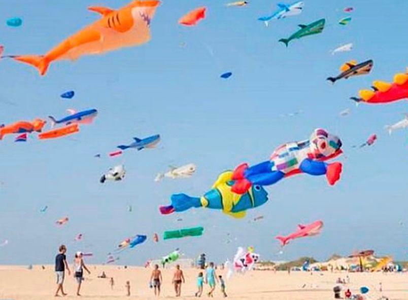 Malaga, capitale mondiale des cerfs-volants Malaga, capitale mondiale des cerfs-volants