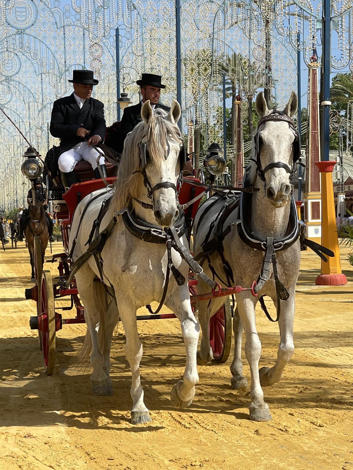 Jerez, la Feria où le cheval est le roi Jerez, la Feria où le cheval est le roi