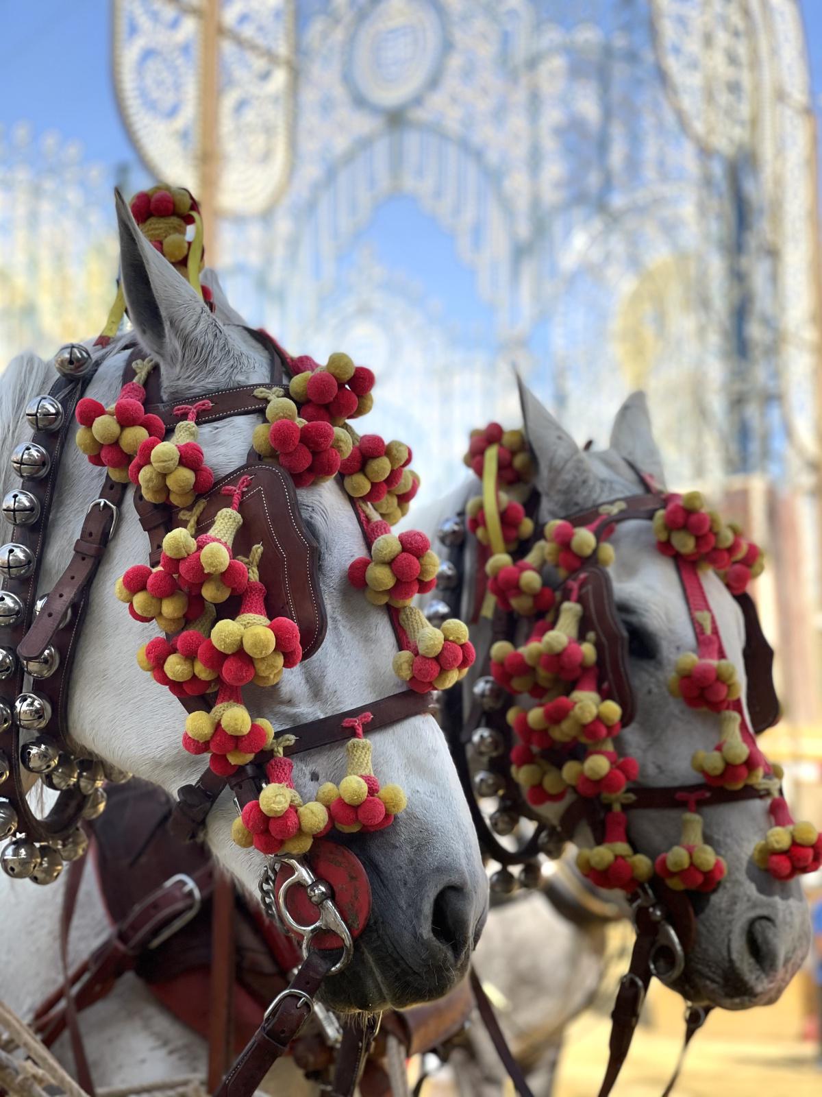 Jerez, la Feria où le cheval est le roi Jerez, la Feria où le cheval est le roi