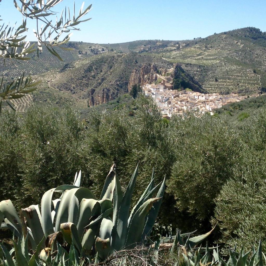 L’or jaune liquide en péril! L’or jaune liquide en péril!