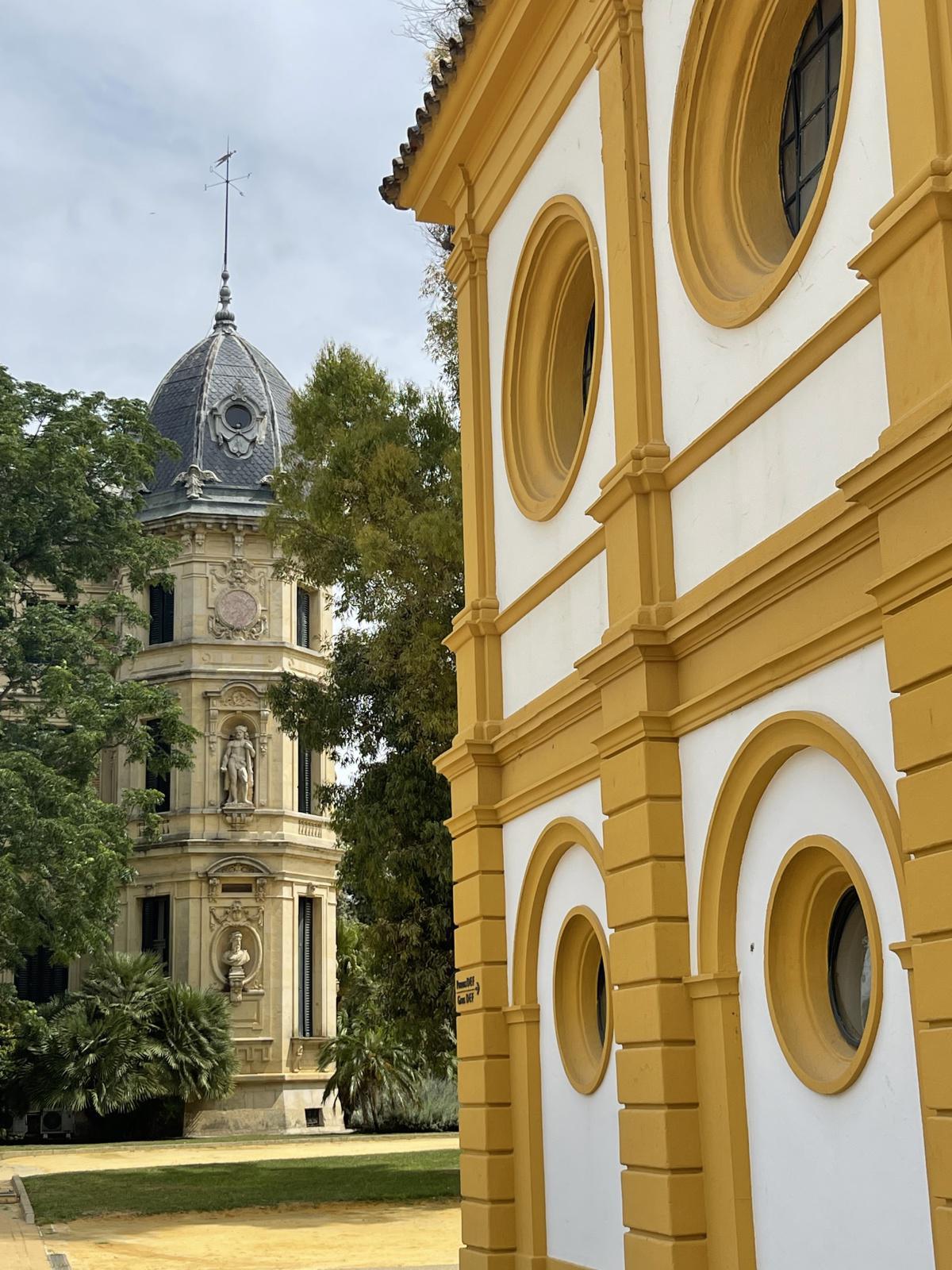 Les chevaux « dansent » depuis 50 ans à Jerez de la Frontera Les chevaux « dansent » depuis 50 ans à Jerez de la Frontera