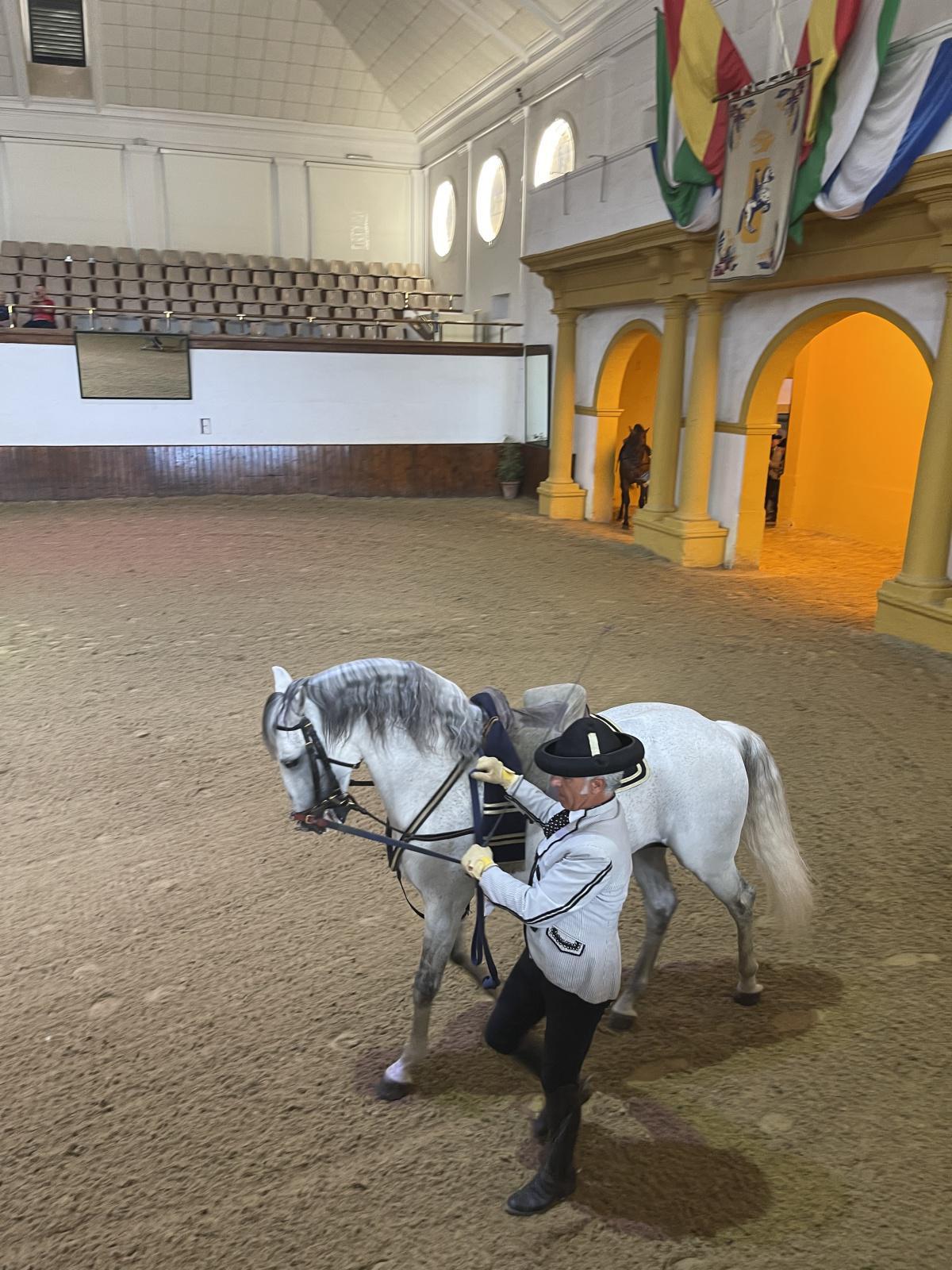Les chevaux « dansent » depuis 50 ans à Jerez de la Frontera 