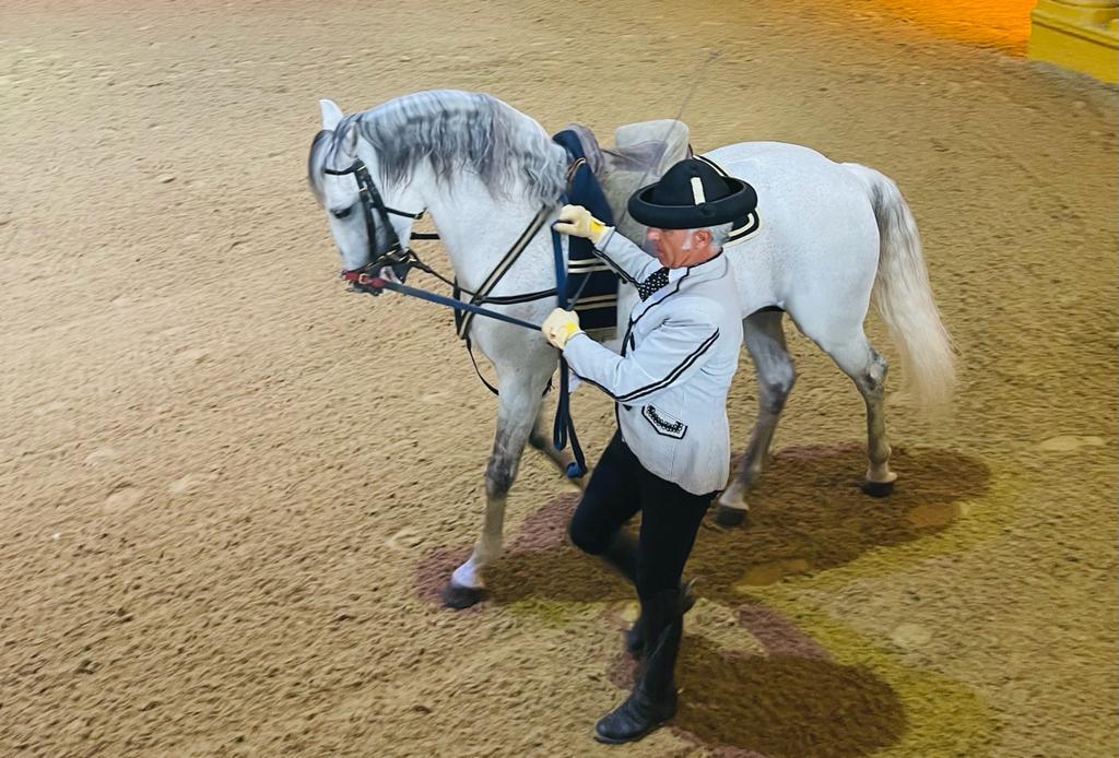 Les chevaux « dansent » depuis 50 ans à Jerez de la Frontera 