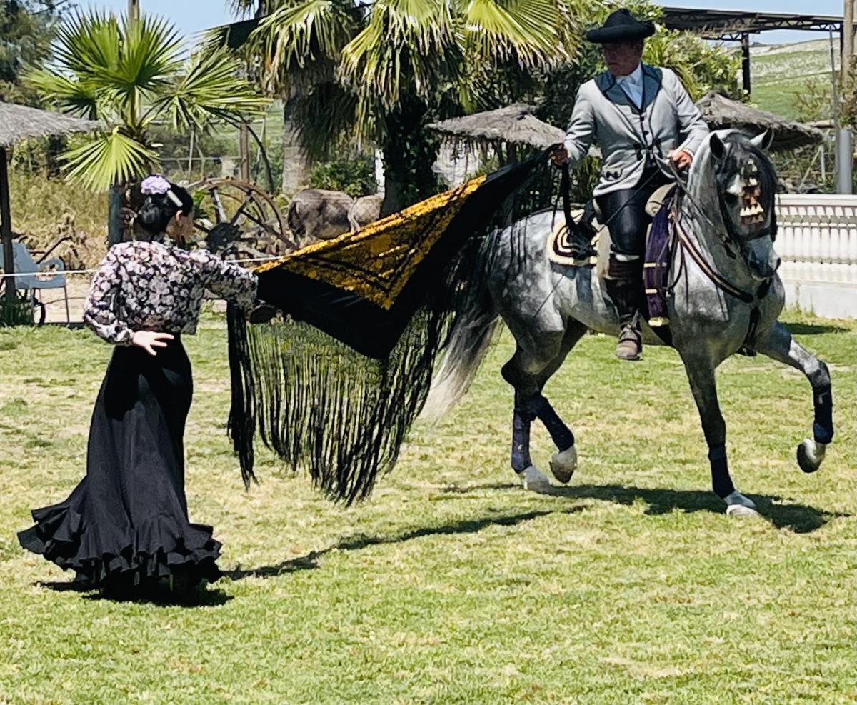 Quand art équestre et flamenco fusionnent  Quand art équestre et flamenco fusionnent