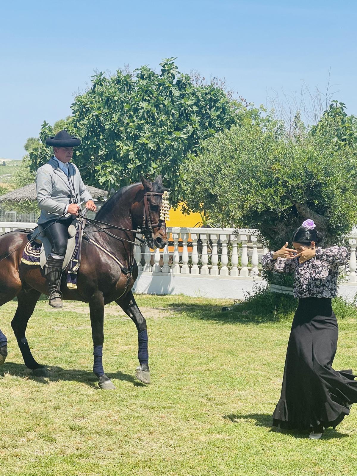 Quand art équestre et flamenco fusionnent  Quand art équestre et flamenco fusionnent