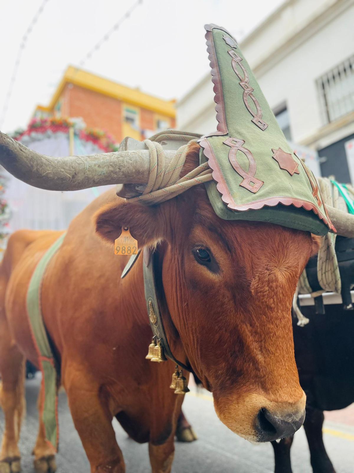 La Romeria d’Arroyo de la Miel annonce la belle feria de Benalmadena