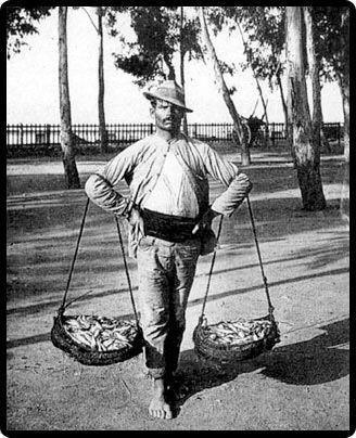 Connaissez-vous le « cenachero » ?  Connaissez-vous le « cenachero » ?