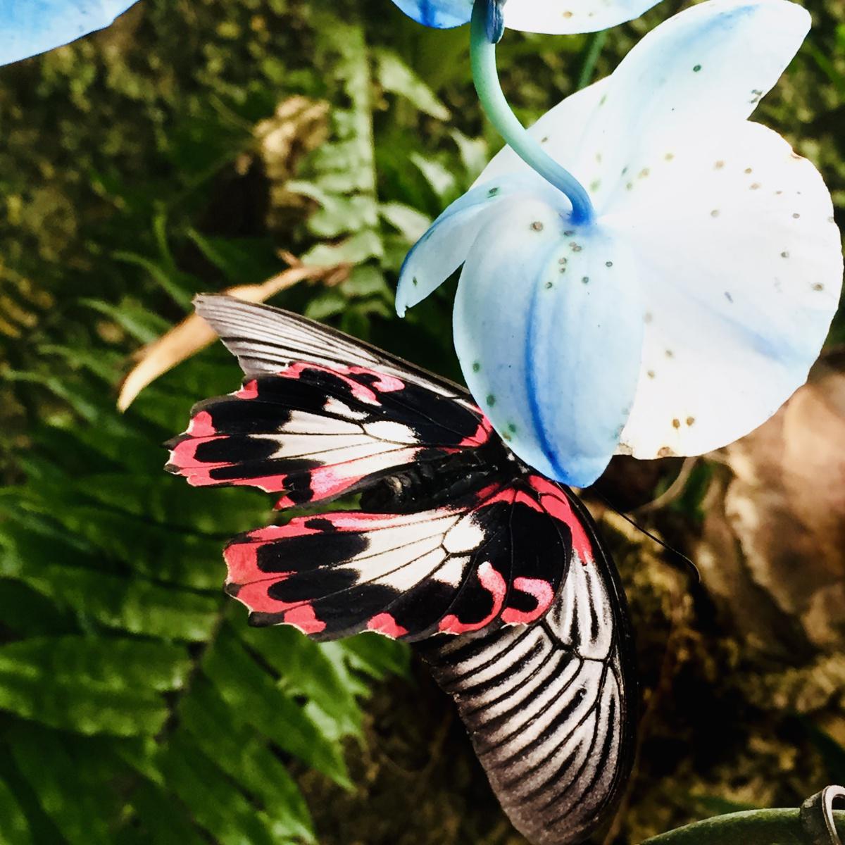 Benalmadena Benalmadena