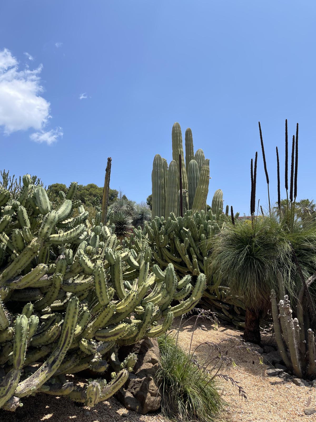 Benalmadena Benalmadena