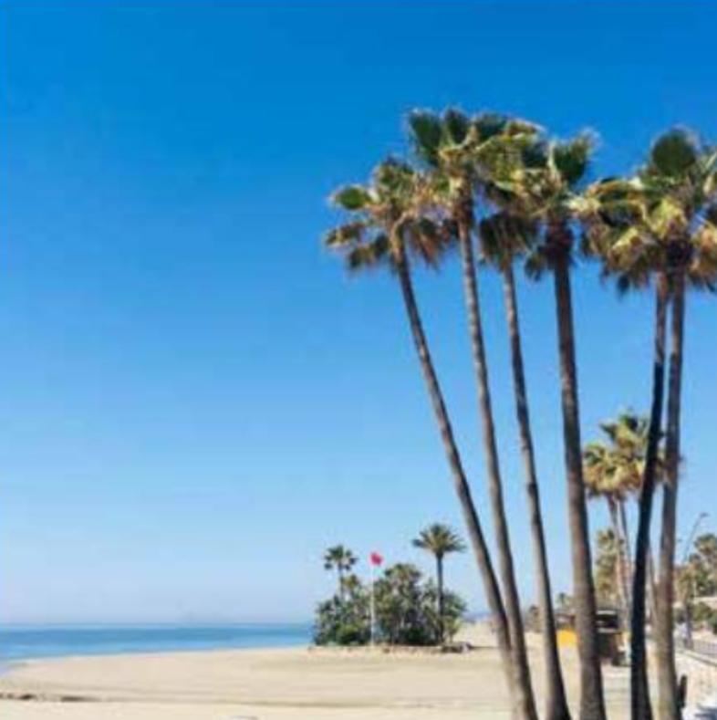 Rencontre avec Héloïse de Flandre Rencontre avec Héloïse de Flandre