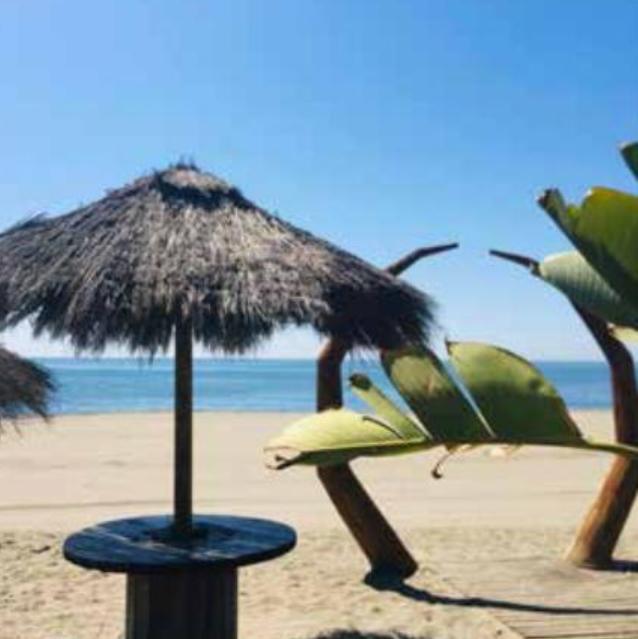 Rencontre avec Héloïse de Flandre Rencontre avec Héloïse de Flandre