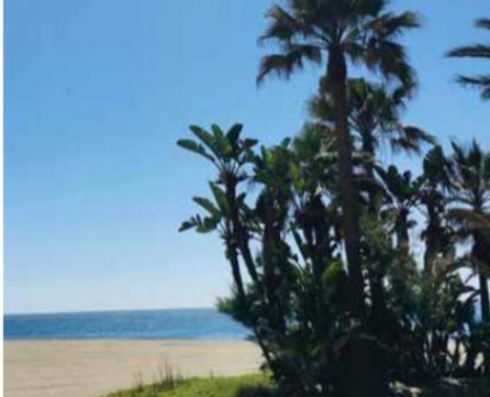 Rencontre avec Héloïse de Flandre Rencontre avec Héloïse de Flandre