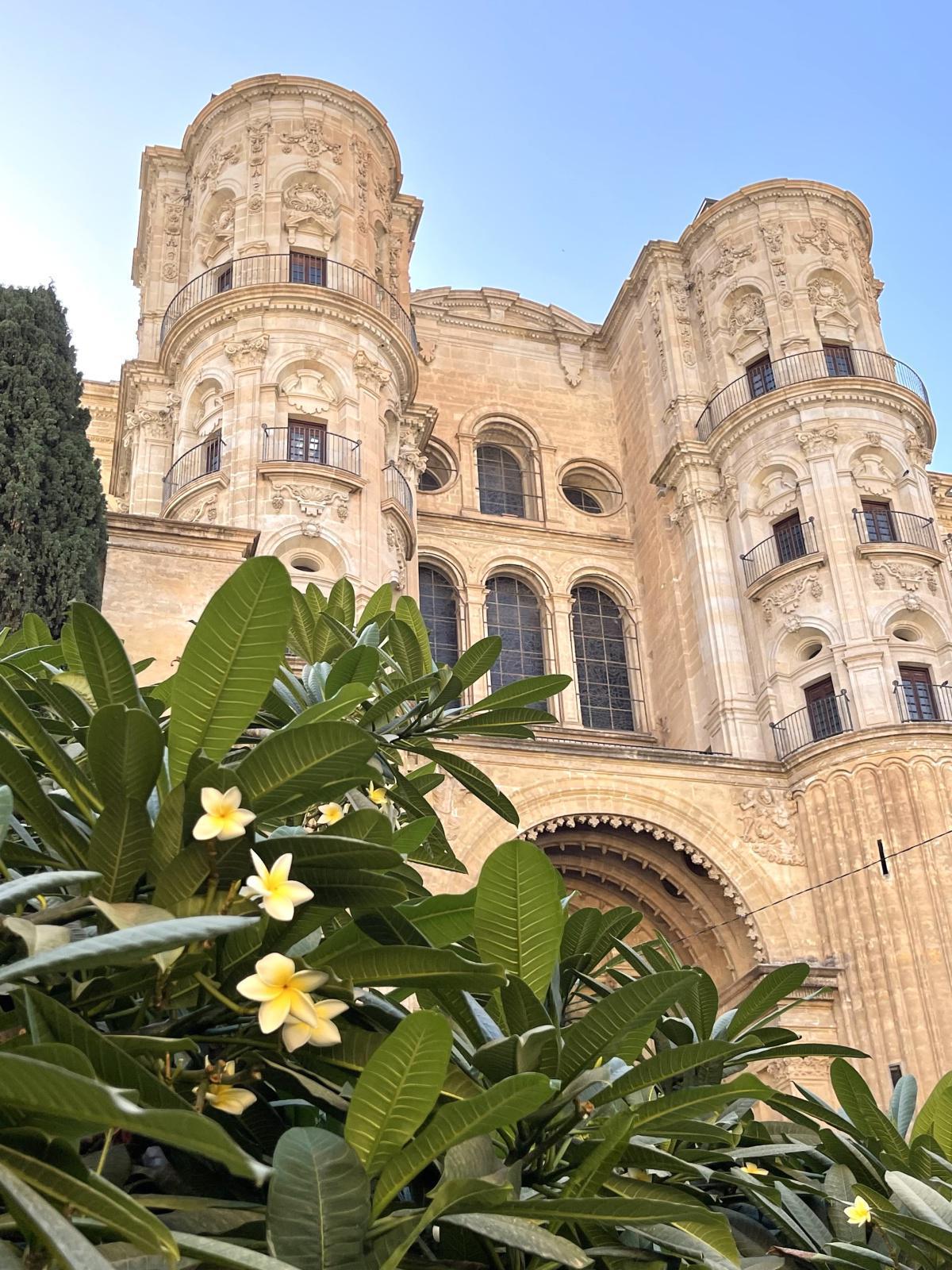 La « petite manchote » et ses secrets! La « petite manchote » et ses secrets!