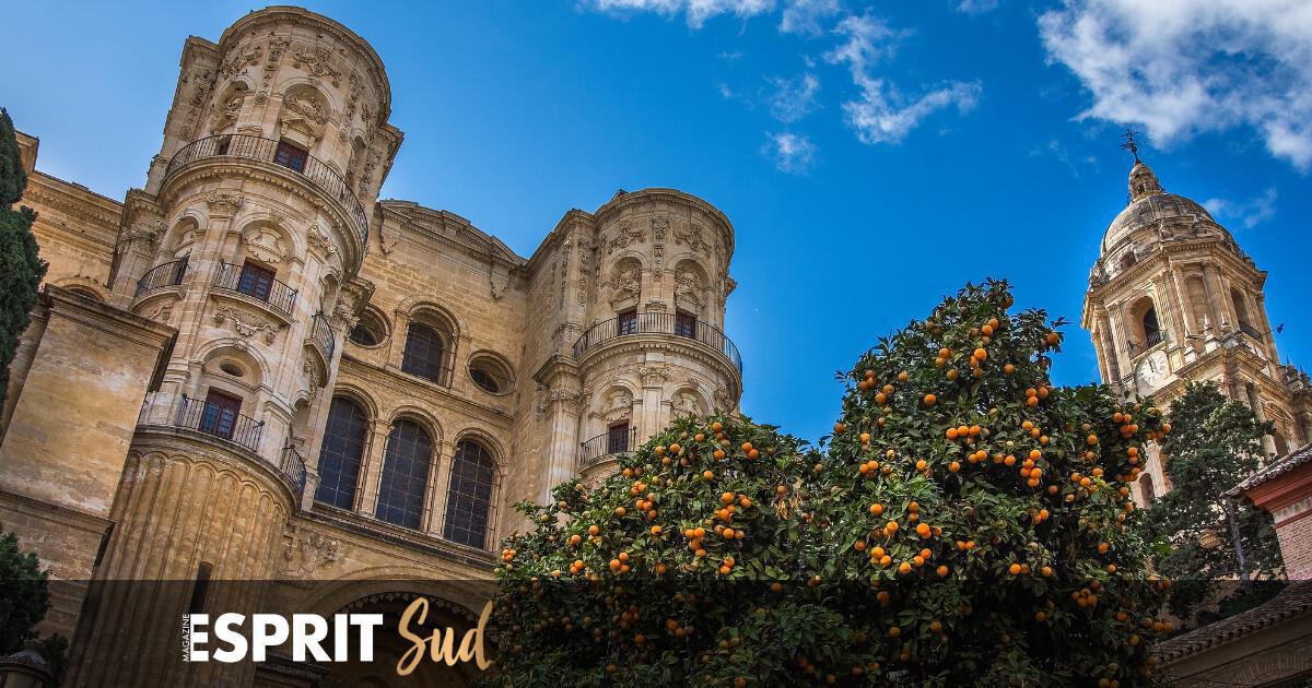 La « petite manchote » et ses secrets! La « petite manchote » et ses secrets!