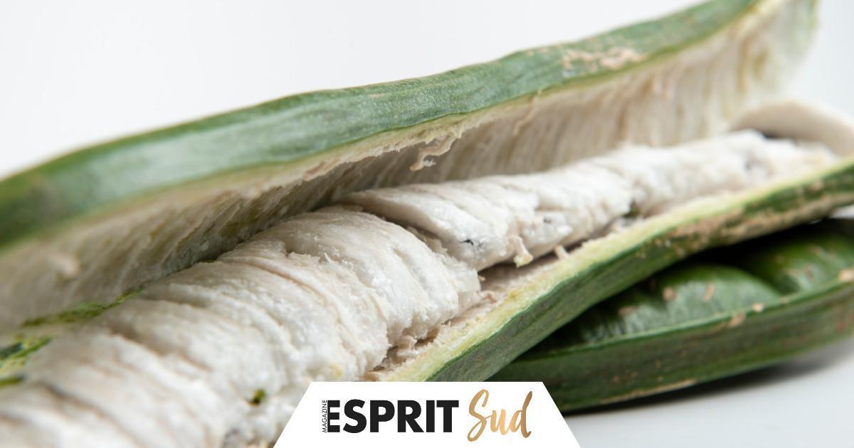 Du nouveau côté fruits tropicaux de la Costa Granadina Du nouveau côté fruits tropicaux de la Costa Granadina