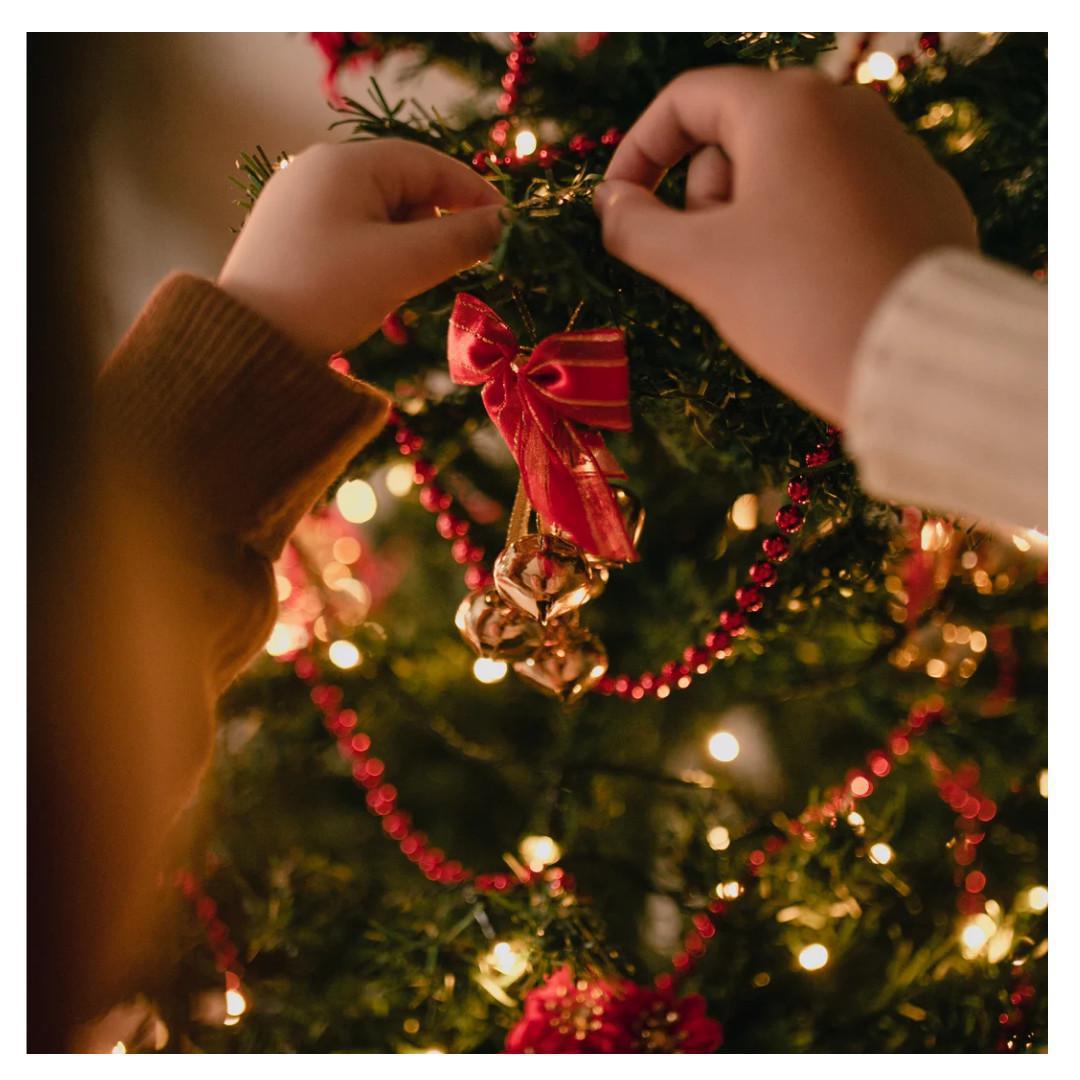 A la recherche de votre arbre de Noël sur la Costa del Sol… A la recherche de votre arbre de Noël sur la Costa del Sol…