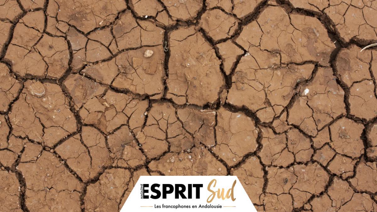 La situation hydrique du sud de l’Espagne au centre de toutes les préoccupations 