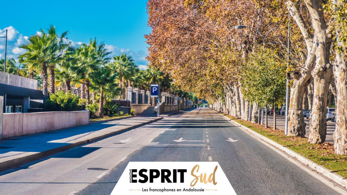 Nouvelle zone de basse émission à Malaga, un tournant pour l'environnement urbain ! Nouvelle zone de basse émission à Malaga, un tournant pour l'environnement urbain !