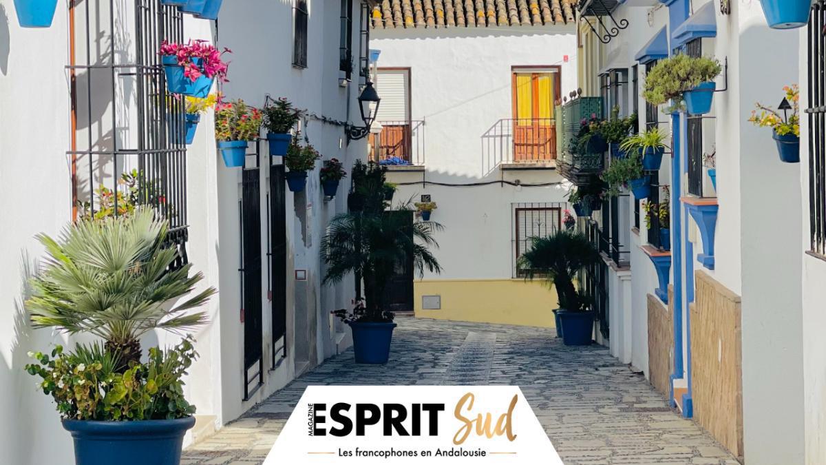 La ville d’Estepona à l’honneur dans le journal The Telegraph ! La ville d’Estepona à l’honneur dans le journal The Telegraph !