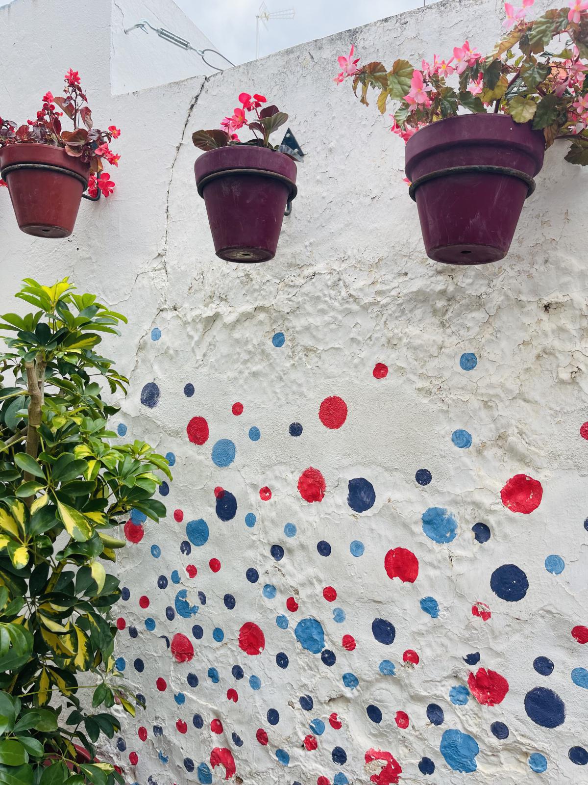 Estepona, une ville, une âme… Estepona, une ville, une âme…