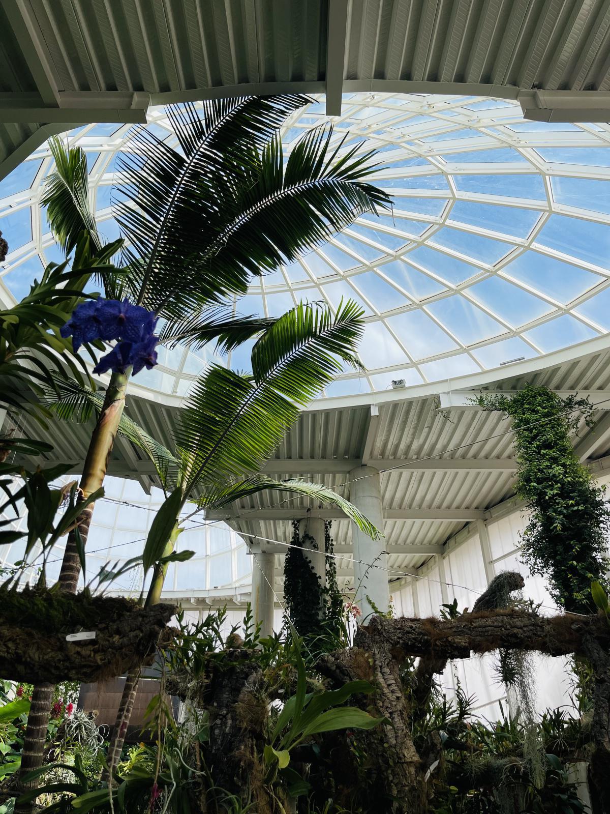 Estepona, une ville, une âme… Estepona, une ville, une âme…