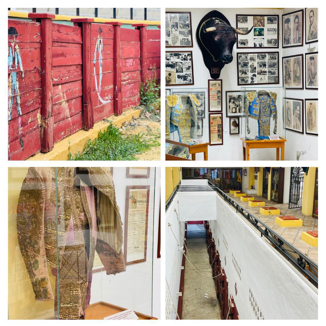 Estepona, une ville, une âme… Estepona, une ville, une âme…